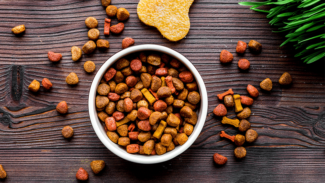 Pet Food